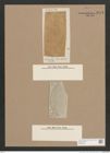 Navicula sp. (de-Toni-Nr.: Genus 1) Zeichnungen Sammlung Grunow Nr. 1643 (NHMW-BOT-W0368198)